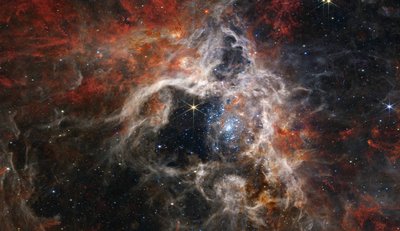 タランチュラ星雲（NIRCam画像） 作： James Webb Space Telescope (NASA)