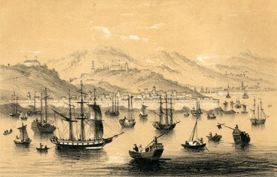 1847年にイギリスの商取引に条約が締結した5つの港の1つであるアモイ。 作： James William Giles