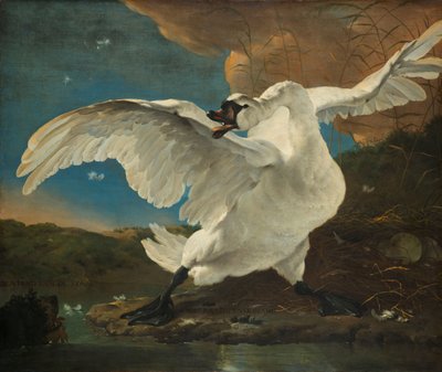 脅かされた白鳥 脅かされた白鳥; 後にヨハン・デ・ウィットのアレゴリーとして解釈 作： Jan Asselijn