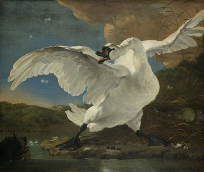 絶滅の危機に瀕した白鳥、1650年頃 作： Jan Asselyn