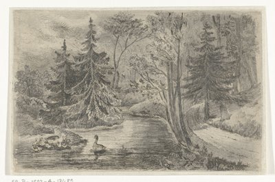 カモのいる池の林道 作： Jan Bos Wz.