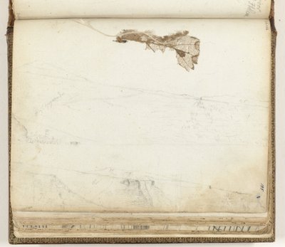 セントヘレナ湾、乾燥葉 作： Jan Brandes
