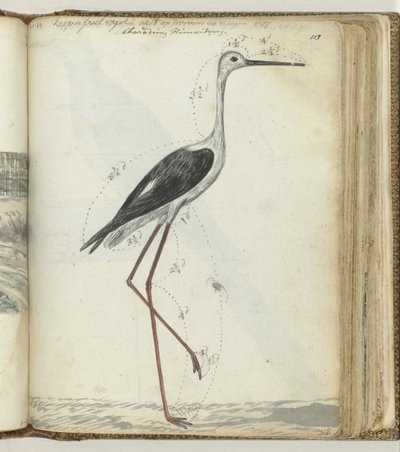 岬の水鳥 作： Jan Brandes
