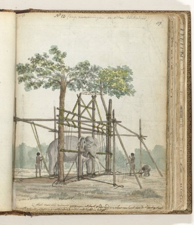 象の厩舎 作： Jan Brandes