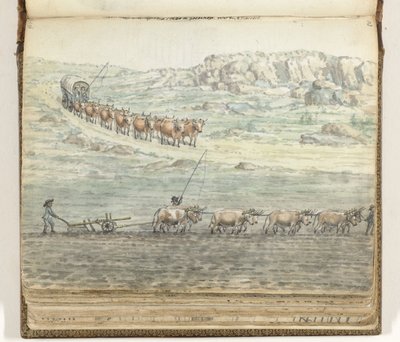 幌馬車用・鋤用牛軛 作： Jan Brandes