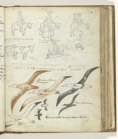 人とロバの話。 海鳥 作： Jan Brandes