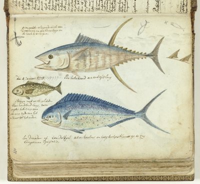 海釣り 作： Jan Brandes