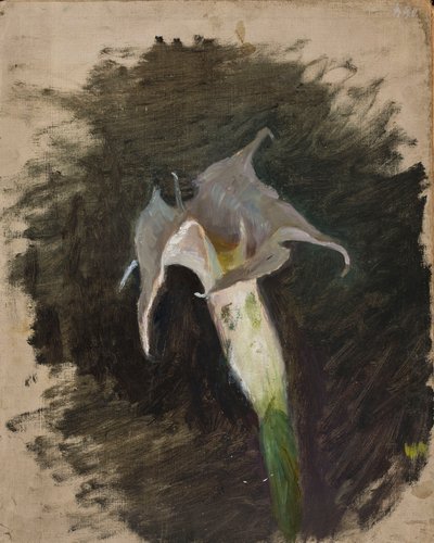  作： Jan Ciągliński