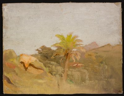 Palme auf Ceylon. Aus einer Reise nach Indien 作： ヤン・シアグリンスキー