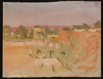 Rosa Landschaft mit Kakteen. Aus einer Reise nach Indien 作： ヤン・シアグリンスキー