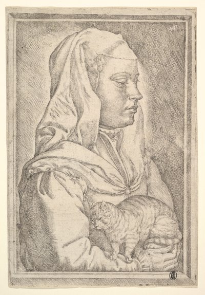 猫を持つ少女、1546年。 作： Jan Cornelisz Vermeyen