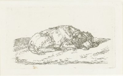 前脚に頭を乗せて寝ている犬 作： Jan Dasveldt