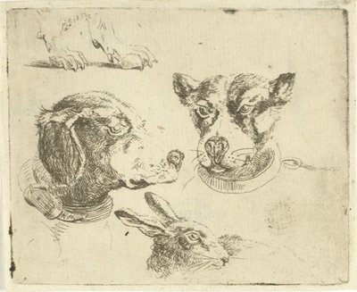 2 つの犬の頭、犬の足、ウサギの頭の学習シート 作： Jan Dasveldt