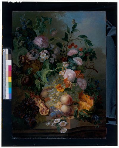 花、梨、ブドウ、サクランボ、メロン、蝶の静物画 作： Jan Evert Morel