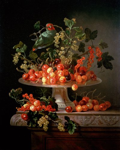 オウムとチェリーとスグリの静物 作： Jan Frans van Son