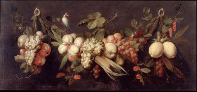 果物と鳥のいる静物 作： Jan Frans van Son