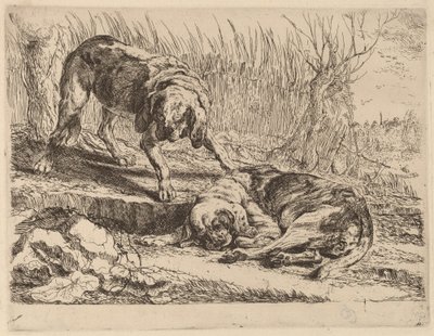 2 匹のビーグル犬と 1 匹の寝ている犬 作： Jan Fyt