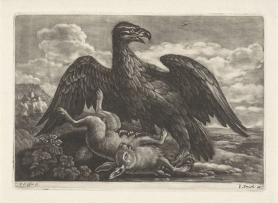 ワシはウサギの上に立つ 作： Jan Griffier (I) (attributed to workshop of)