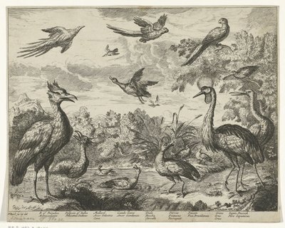 風景の中のさまざまな鳥 作： Jan Griffier (I) (copy after)