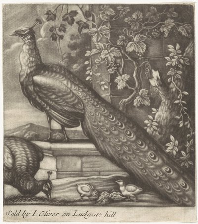 クジャク 作： Jan Griffier (I)