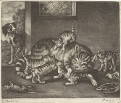 5匹の子を持つ猫 作： Jan Griffier (I)
