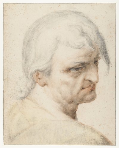 右肩越しに見ている男性の頭、右の 4 分の 3 の部分 作： Jan Harmensz. Muller
