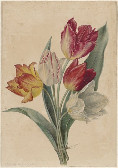 チューリップの花束 作： Jan Jacob Goteling Vinnis