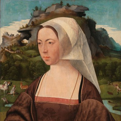 見知らぬ女性の肖像 女性の肖像 作： Jan Jansz Mostaert