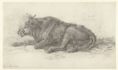 横になっている牛 作： Jan Joost van Cossiau