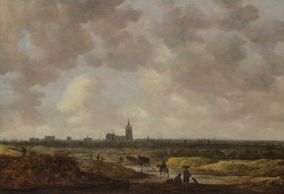 北西からのハーグの眺め、1647年。 作： Jan Josephsz van Goyen