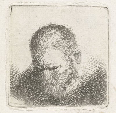 あごひげを生やした男 作： Jan Lievens (possibly)