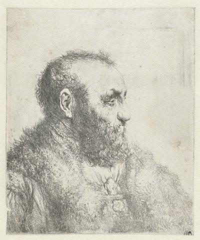 毛皮のコートを着た老人の胸像 作： Jan Lievens