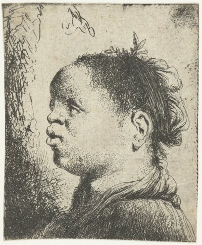 黒人女性のバスト ムーア人女性の頭 作： Jan Lievens