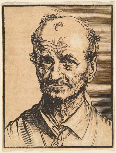 禿げかけの男性の胸像 作： Jan Lievens