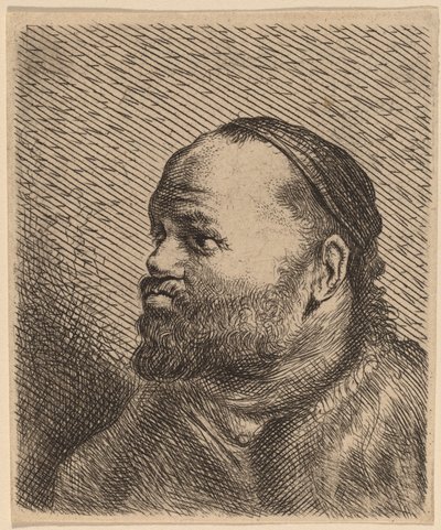 唇が厚い男のバスト 作： Jan Lievens