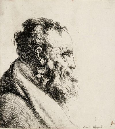  作： Jan Lievens