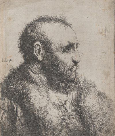 毛皮の首輪をつけた老人の胸像、17 世紀。 作： Jan Lievens