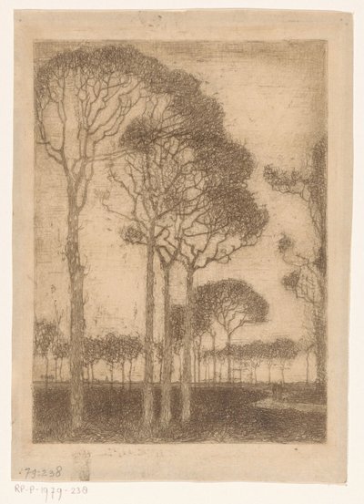Oranjewoud の端にある木々 作： Jan Mankes