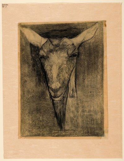 ヤギの頭 作： Jan Mankes
