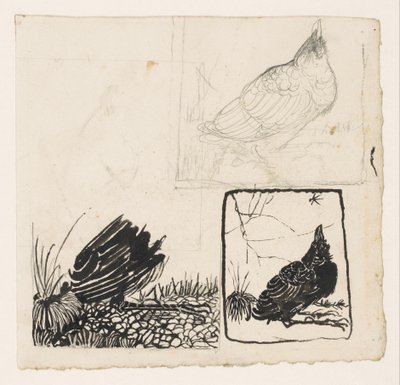 蚊を見上げるカラス 作： Jan Mankes
