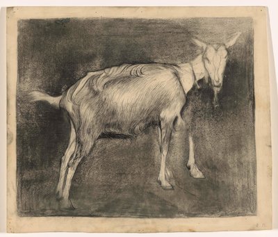 立ったままのヤギ、右へ 作： Jan Mankes