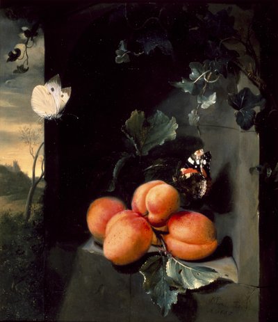 アプリコットと蝶のある静物、1683 作： Jan Mortel