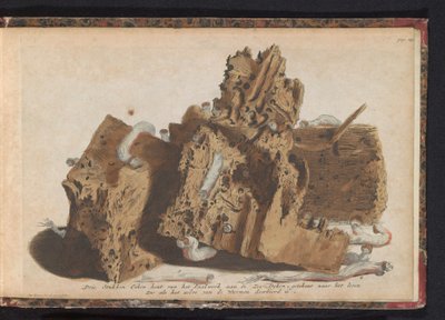 船虫の影響を受けたポールワークの部分、1731 Paalwerk aan de Zee-Dyken からの 3 枚の樫の木、ワーメンによって突き刺された生の後に描かれています (オブジェクトのタイトル) 作： Jan Ruyter