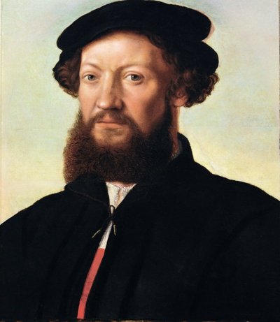 男性の肖像 - ヤン・サンダース・ファン・ヘメッセン（1500年頃～1566年頃）。木に油彩、約1555年。寸法：47x39 cm。ヴィエンヌ美術史博物館 作： Jan Sanders van Hemessen