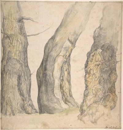 節くれだった 3 本の古い木の習作、1660 年。 作： Jan Siberechts