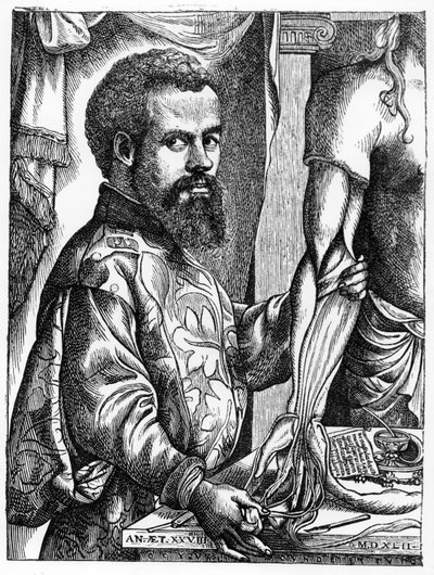 アンドレアスヴェサリウス（1514-64）の肖像画、彼の本「De Humani Corporis Fabrica」、1543年、「中世の科学と文学とルネサンス」からのイラスト、ポールによって書かれて彫刻された 作： Jan Stephen van Calcar