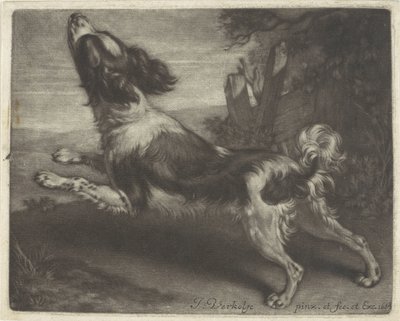 走っている犬、おそらくスパニエル 作： Jan Verkolje (I)