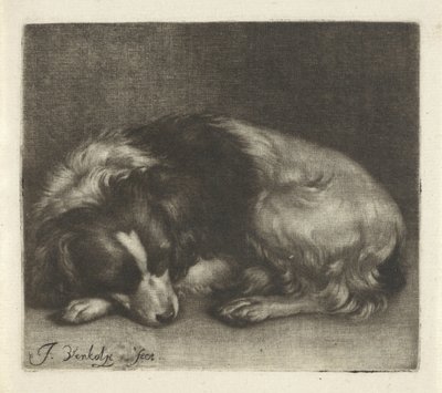 眠っている犬、おそらくスパニエル 作： Jan Verkolje (I)