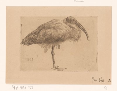 Ibis (オブジェクトの元のタイトル) 作： Jan Veth (signed by artist)