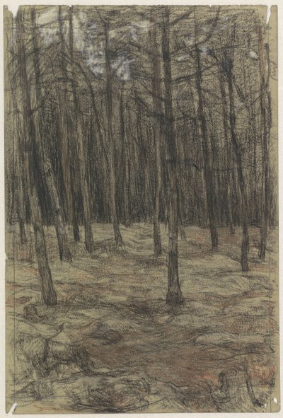 森林景観 作： Jan Veth